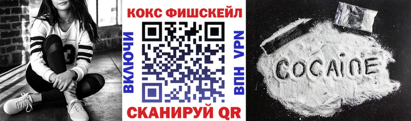 Купить где  Полярные Зори  Кокаин 99% 