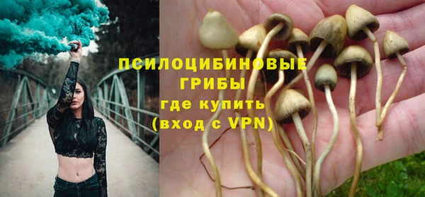 ГАЛЛЮЦИНОГЕННЫЕ ГРИБЫ Слюдянка