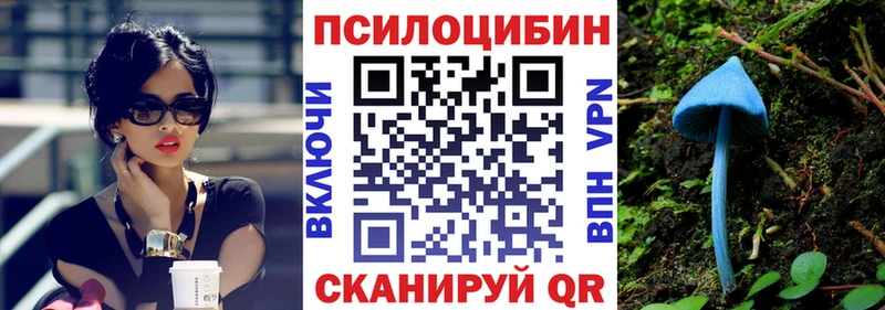 Купить  Полярные Зори  Псилоцибиновые грибы Psilocybine cubensis 